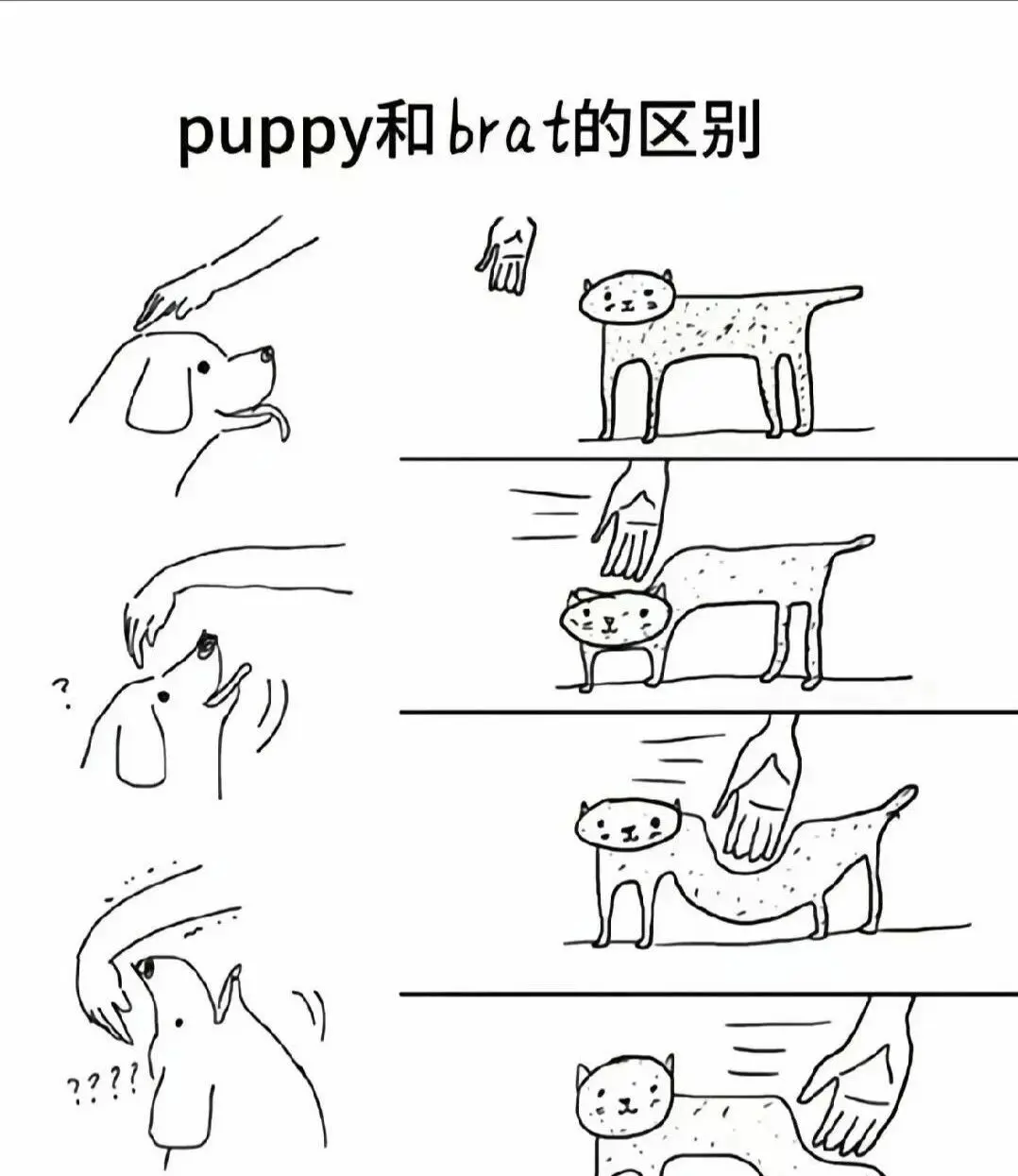 西檬之家-圣水是什么？在字母圈中的象征意义及应用场景