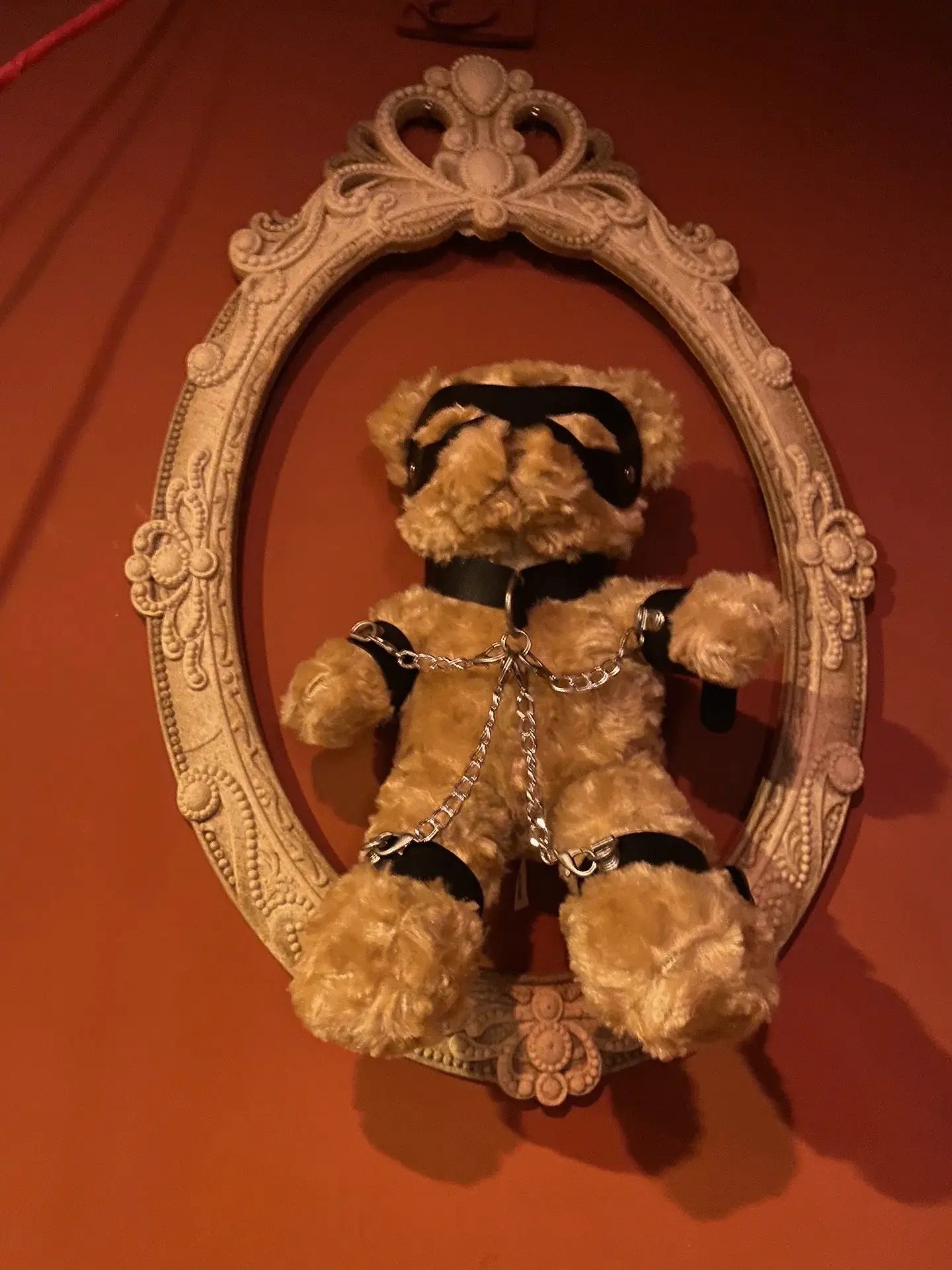 BDSM入圈 - 2025-11-14 000222