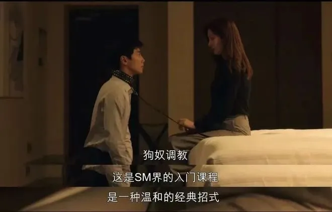 西檬之家-K8是什么意思？字母圈新人必知的宠物扮演角色