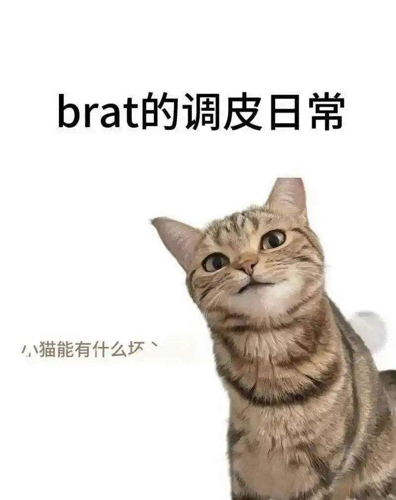 S倾向 - 2025-11-13 192048