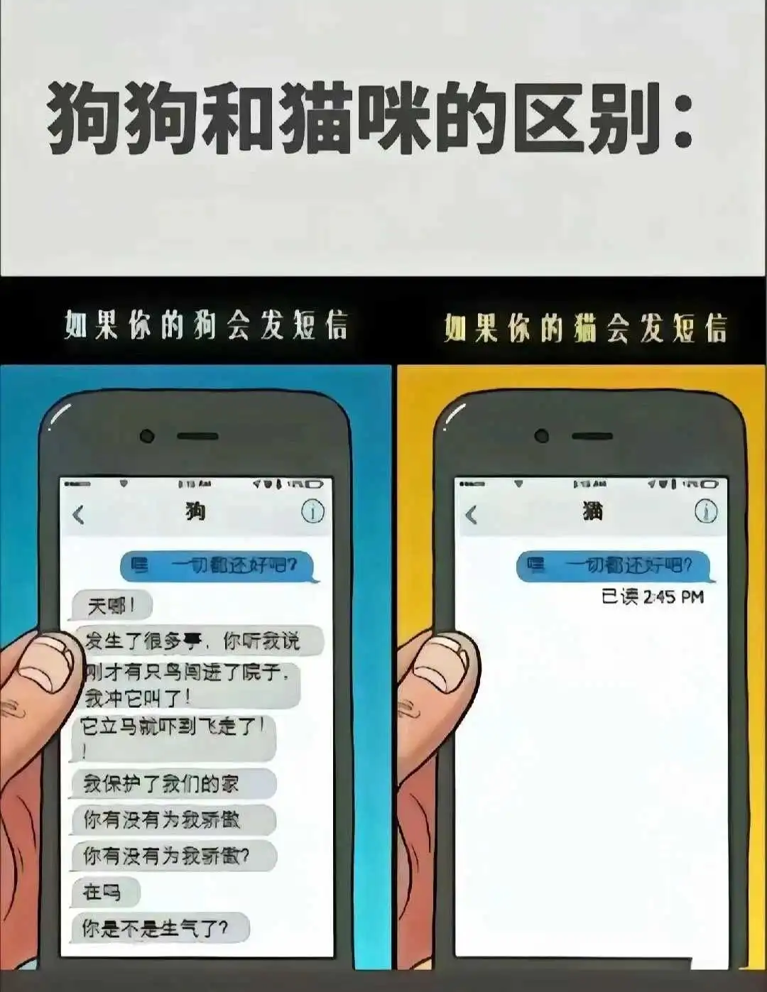 西檬之家-K9犬系的定义与实践指南