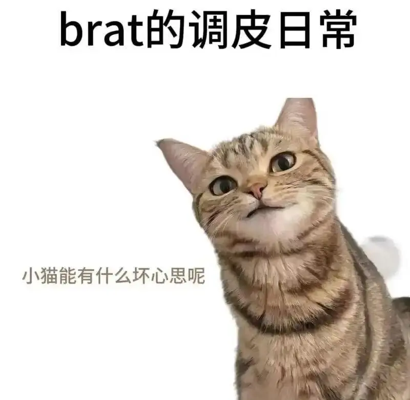 西檬之家-字母圈新人入圈：PE与BDSM基础指南