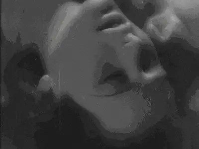 西檬之家-K8是什么？猫奴心态下你需要了解的内容