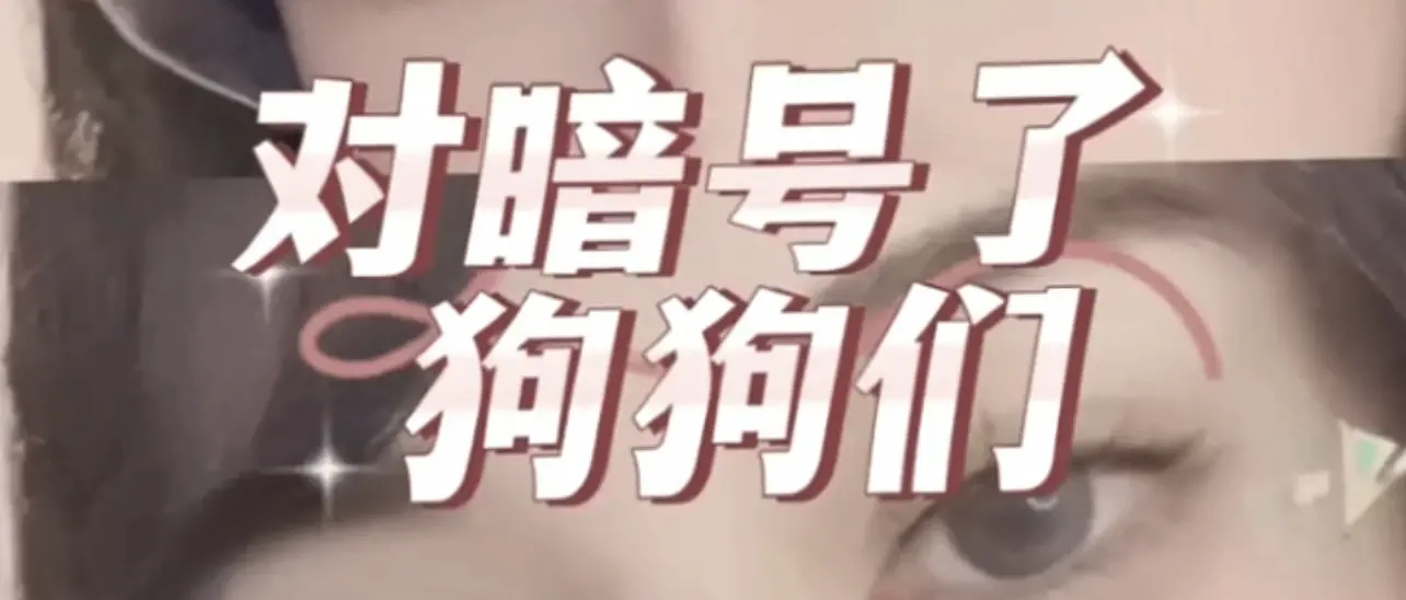 【西檬之家】K9犬系是什么？字母圈新人必读指南