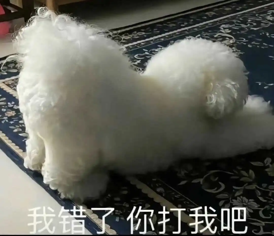 西檬之家 - 字母圈新人入圈指南：从陌生到精通BDSM术语解析